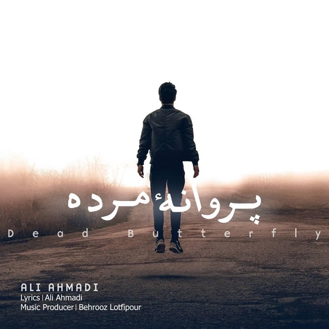 دانلود آهنگ جدید علی احمدی به نام پروانه ی مرده
