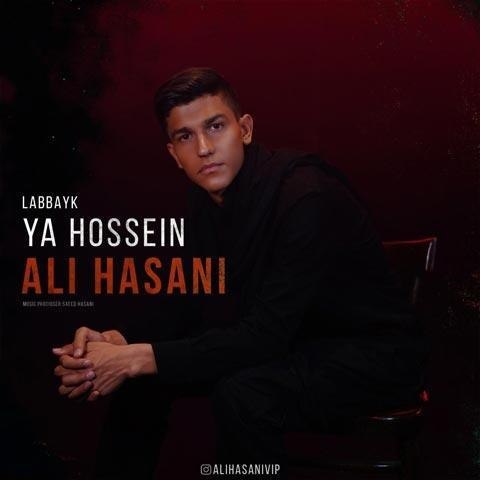دانلود آهنگ جدید علی حسنی به نام لبیک یا حسین