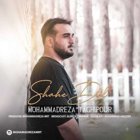 دانلود آهنگ جدید محمد رضا تقی پور به نام شاهه دل