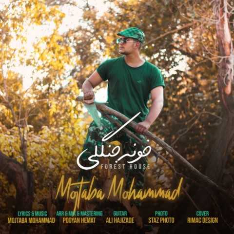 دانلود آهنگ جدید مجتبی محمد به نام خونه جنگلی