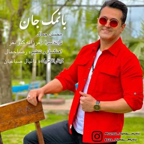 دانلود آهنگ جدید محسن جمال به نام با نمک جان