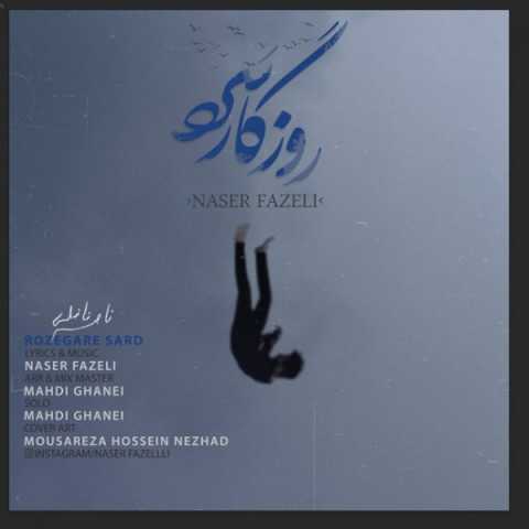 دانلود آهنگ جدید ناصر فاضلی به نام روزگار سرد