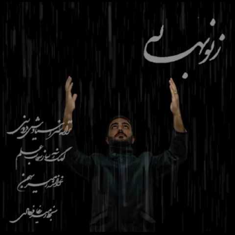 دانلود آهنگ جدید امیر بهمن به نام ز نو بهار دانلود آهنگ جدید امیر بهمن به نام ز نو بهار