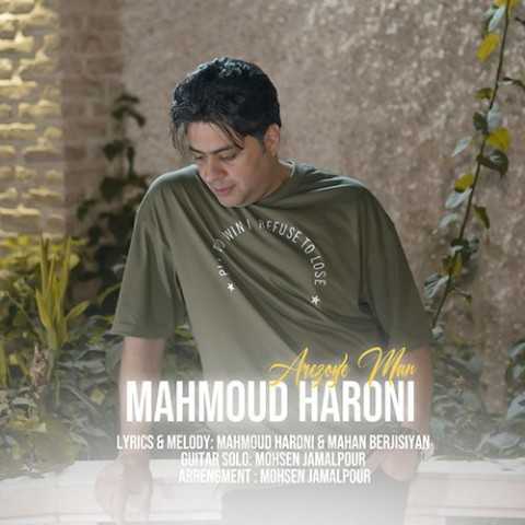 دانلود آهنگ جدید محمود هارونى به نام آرزوى من