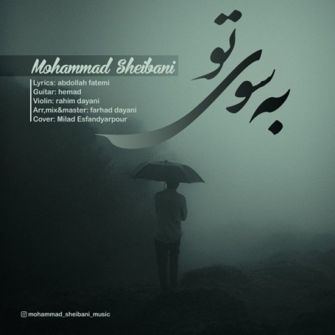 دانلود آهنگ جدید محمد شیبانی به نام به سوی تو