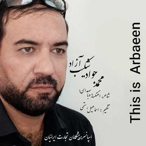 دانلود آهنگ جدید محمد جواد شکیب آزاد به نام این اربعین
