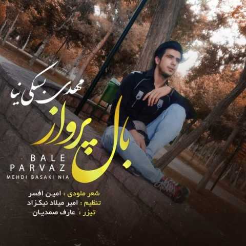 دانلود آهنگ جدید مهدی بسکی نیا به نام بال پرواز دانلود آهنگ جدید مهدی بسکی نیا به نام بال پرواز