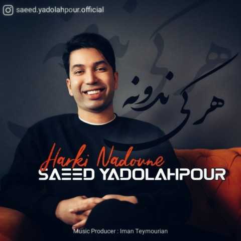 دانلود آهنگ جدید سعید یدالله پور به نام هرکی ندونه دانلود آهنگ جدید سعید یدالله پور به نام هرکی ندونه