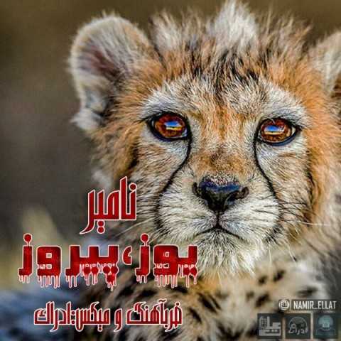 دانلود آهنگ جدید نامیر به نام یوز و پیروز دانلود آهنگ جدید نامیر به نام یوز و پیروز