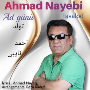 دانلود آهنگ جدید احمد نایبی بنام تولد