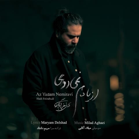 دانلود آهنگ جدید هادی فیض آبادی به نام از یادم نمی روی + متن آهنگ