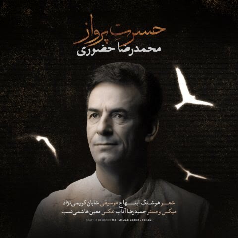 دانلود آهنگ جدید محمدرضا حضوری به نام حسرت پرواز