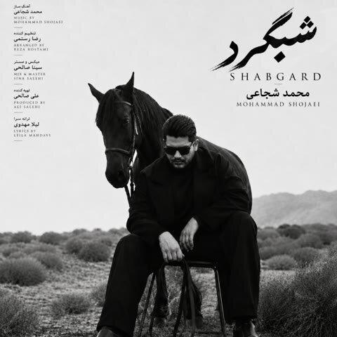 دانلود آهنگ جدید محمد شجاعی به نام شبگرد + متن آهنگ دانلود آهنگ جدید محمد شجاعی به نام شبگرد + متن آهنگ