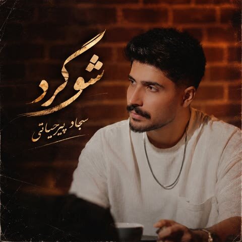 دانلود آهنگ جدید سجاد پیرحیاتی به نام شوگرد