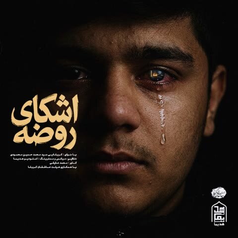 دانلود آهنگ جدید سید محمد حسین محمودی به نام اشکای روضه + متن آهنگ
